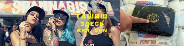 сатива Инта
