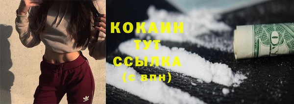 сатива Инта