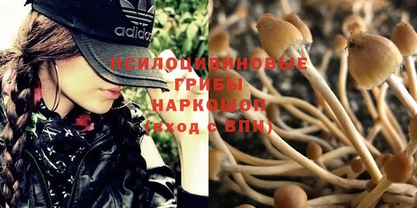альфа пвп Каменногорск