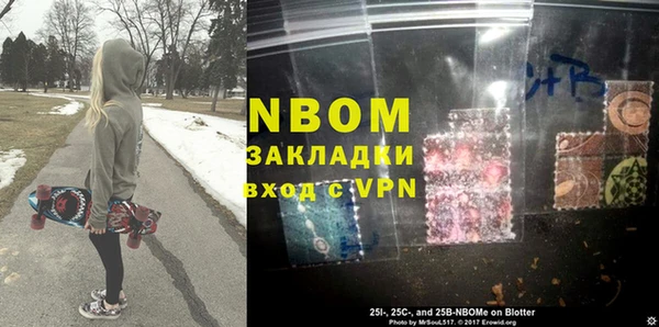 сатива Инта