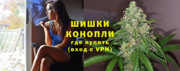 крисы Каменск-Шахтинский