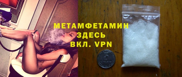 сатива Инта