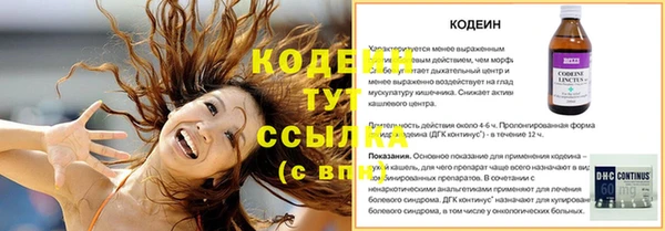 сатива Инта